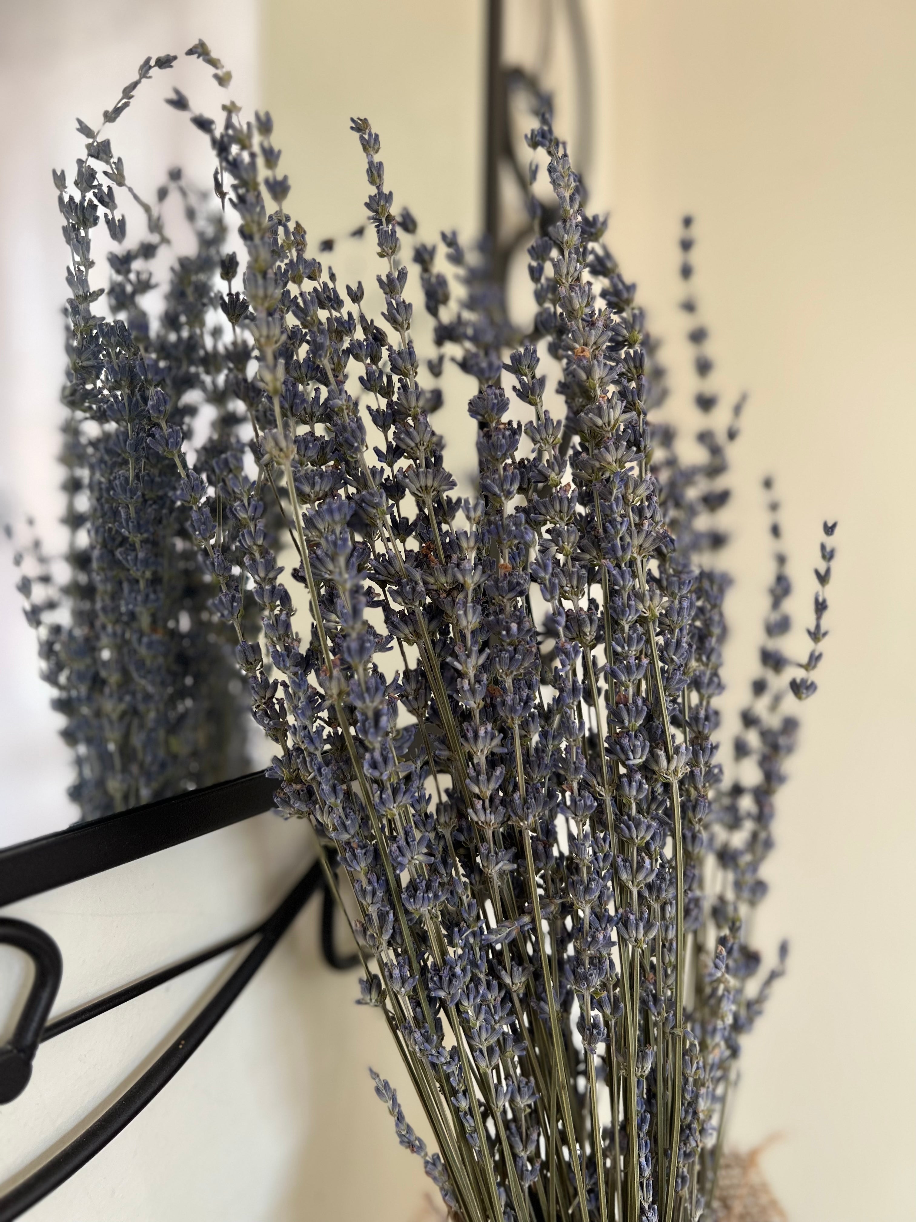 Dried Lavender